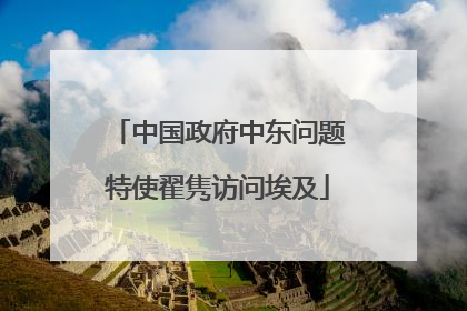 中国政府中东问题特使翟隽访问埃及