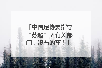 中国足协要指导“苏超”？有关部门：没有的事！