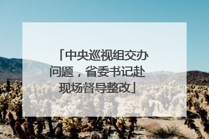 中央巡视组交办问题，省委书记赴现场督导整改
