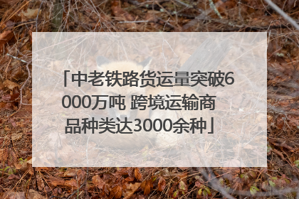 中老铁路货运量突破6000万吨 跨境运输商品种类达3000余种