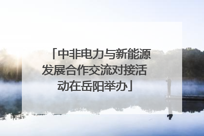 中非电力与新能源发展合作交流对接活动在岳阳举办