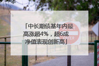 中长期债基年内最高涨超4%，超6成净值表现创新高