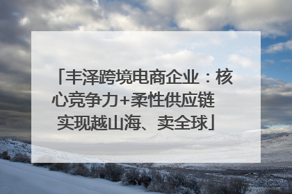 丰泽跨境电商企业：核心竞争力+柔性供应链 实现越山海、卖全球