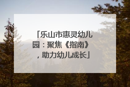 乐山市惠灵幼儿园：聚焦《指南》，助力幼儿成长