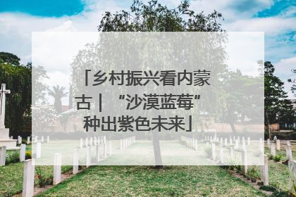乡村振兴看内蒙古｜“沙漠蓝莓”种出紫色未来