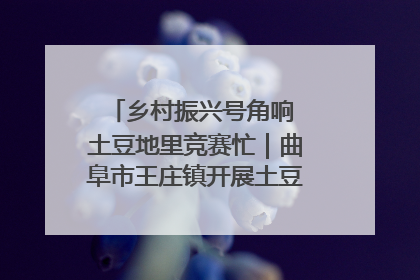 乡村振兴号角响 土豆地里竞赛忙｜曲阜市王庄镇开展土豆收获劳动竞赛