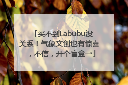 买不到Labubu没关系！气象文创也有惊喜，不信，开个盲盒→