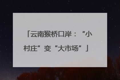 云南猴桥口岸：“小村庄”变“大市场”