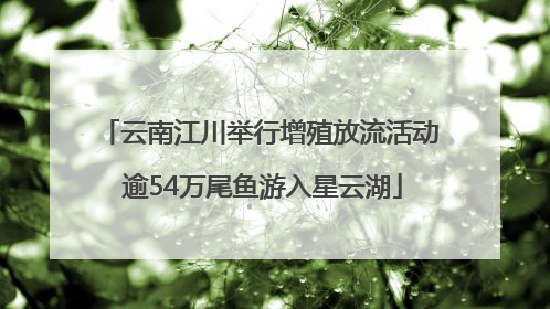 云南江川举行增殖放流活动 逾54万尾鱼游入星云湖
