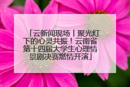 云新闻现场丨聚光灯下的心灵共振！云南省第十四届大学生心理情景剧决赛燃情开演