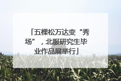 五棵松万达变“秀场”，北服研究生毕业作品展举行