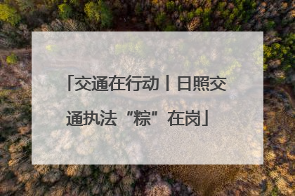 交通在行动丨日照交通执法“粽”在岗