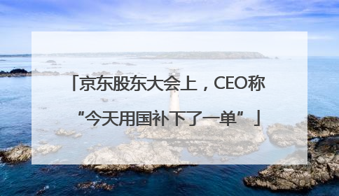 京东股东大会上，CEO称“今天用国补下了一单”
