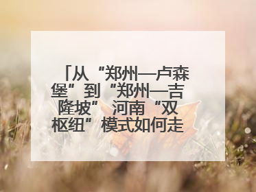 从“郑州—卢森堡”到“郑州—吉隆坡” 河南“双枢纽”模式如何走向全球