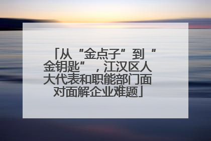 从“金点子”到“金钥匙”，江汉区人大代表和职能部门面对面解企业难题