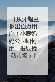 从牙缝里抠出百万用户！小鹿妈妈公司如何用一根线撬动市场？