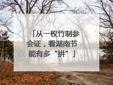 从一枚竹制参会证，看湖南节能有多“拼”