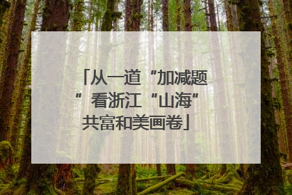 从一道“加减题”看浙江“山海”共富和美画卷
