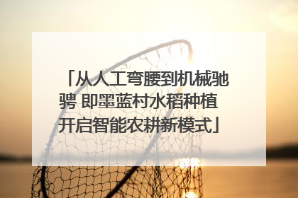 从人工弯腰到机械驰骋 即墨蓝村水稻种植开启智能农耕新模式