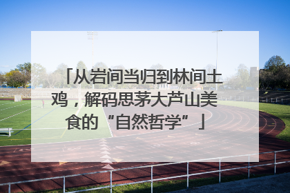 从岩间当归到林间土鸡，解码思茅大芦山美食的“自然哲学”
