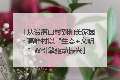 从贫瘠山村到和美家园：高峰村以“生态+文明”双引擎驱动振兴