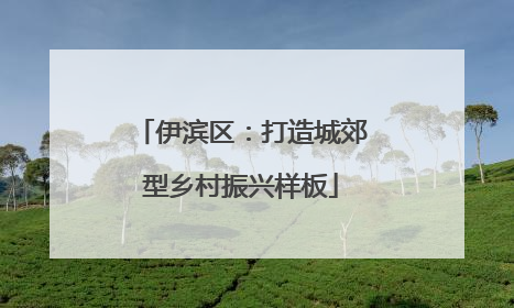 伊滨区：打造城郊型乡村振兴样板