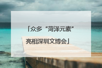 众多“菏泽元素”亮相深圳文博会