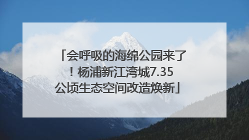 会呼吸的海绵公园来了！杨浦新江湾城7.35公顷生态空间改造焕新