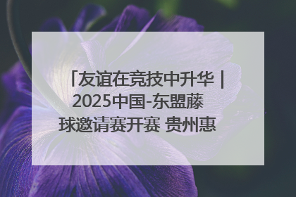 友谊在竞技中升华｜2025中国-东盟藤球邀请赛开赛 贵州惠水燃动“空中芭蕾”