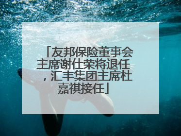 友邦保险董事会主席谢仕荣将退任，汇丰集团主席杜嘉祺接任