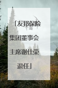 友邦保险集团董事会主席谢仕荣退任