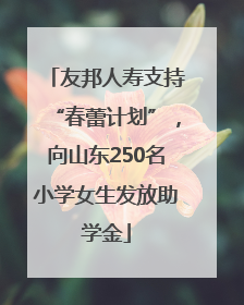 友邦人寿支持“春蕾计划”，向山东250名小学女生发放助学金