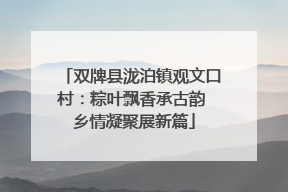 双牌县泷泊镇观文口村：粽叶飘香承古韵 乡情凝聚展新篇