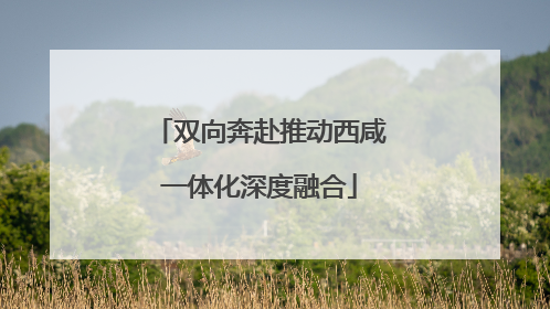 双向奔赴推动西咸一体化深度融合
