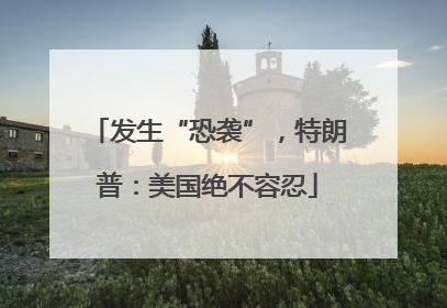 发生“恐袭”，特朗普：美国绝不容忍