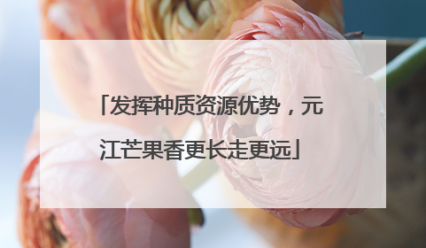 发挥种质资源优势，元江芒果香更长走更远