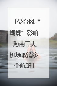 受台风“蝴蝶”影响 海南三大机场取消多个航班