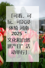 可看、可玩、可沉浸体验 河南2025“文化和自然遗产日”活动举行