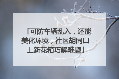 可防车辆乱入，还能美化环境，社区胡同口上新花箱巧解难题