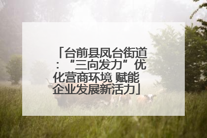 台前县凤台街道：“三向发力”优化营商环境 赋能企业发展新活力