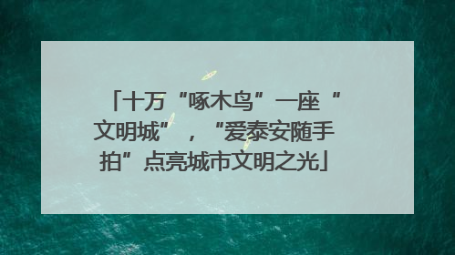 十万“啄木鸟”一座“文明城”，“爱泰安随手拍”点亮城市文明之光