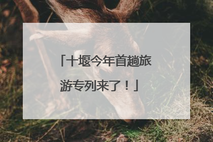 十堰今年首趟旅游专列来了！