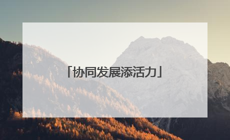 协同发展添活力
