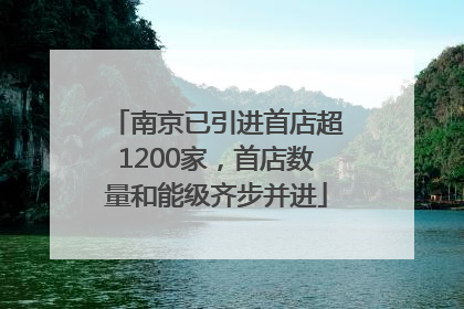 南京已引进首店超1200家，首店数量和能级齐步并进