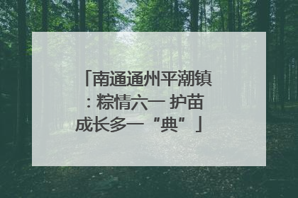南通通州平潮镇：粽情六一 护苗成长多一“典”