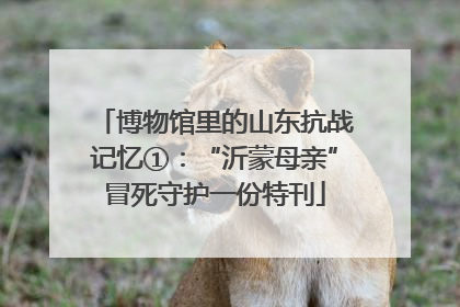 博物馆里的山东抗战记忆①：“沂蒙母亲”冒死守护一份特刊