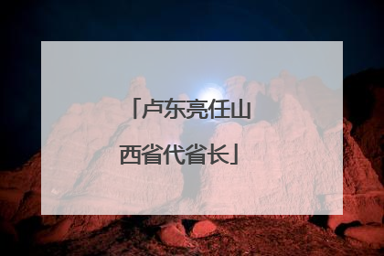 卢东亮任山西省代省长