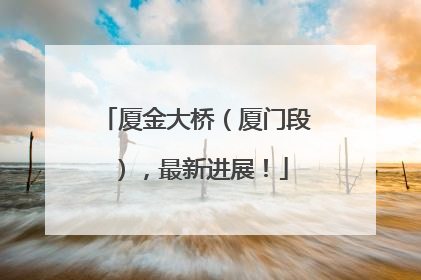 厦金大桥（厦门段），最新进展！