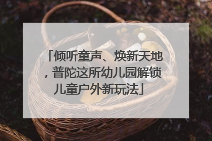 倾听童声、焕新天地，普陀这所幼儿园解锁儿童户外新玩法
