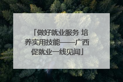 做好就业服务 培养实用技能——广西促就业一线见闻